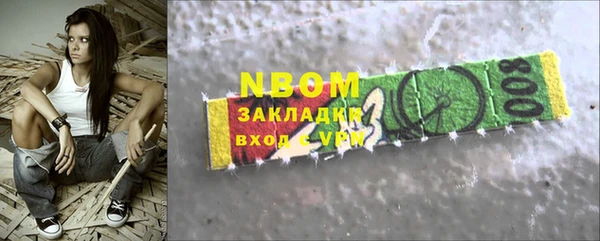 индика Снежногорск