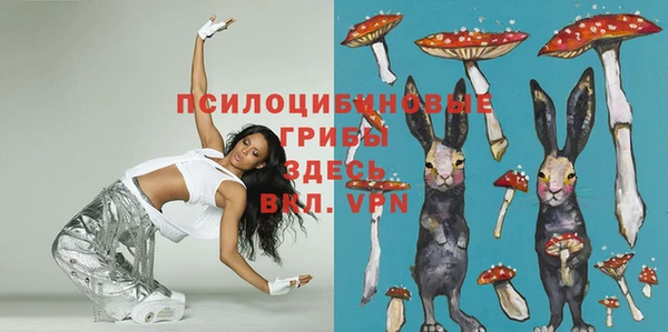 mdpv Покачи