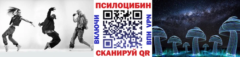 где можно купить   Краснозаводск  Галлюциногенные грибы Psilocybe 
